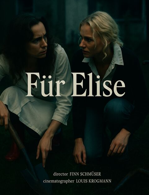 Für Elise – Heimatlos — Plakat